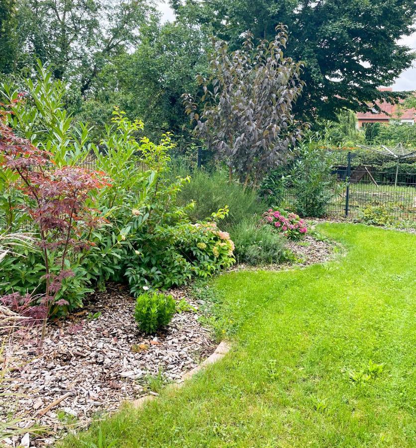 Ferienwohnung Kamrath Mit Wunderschoenem Ausblick Neuruppin Exterior photo